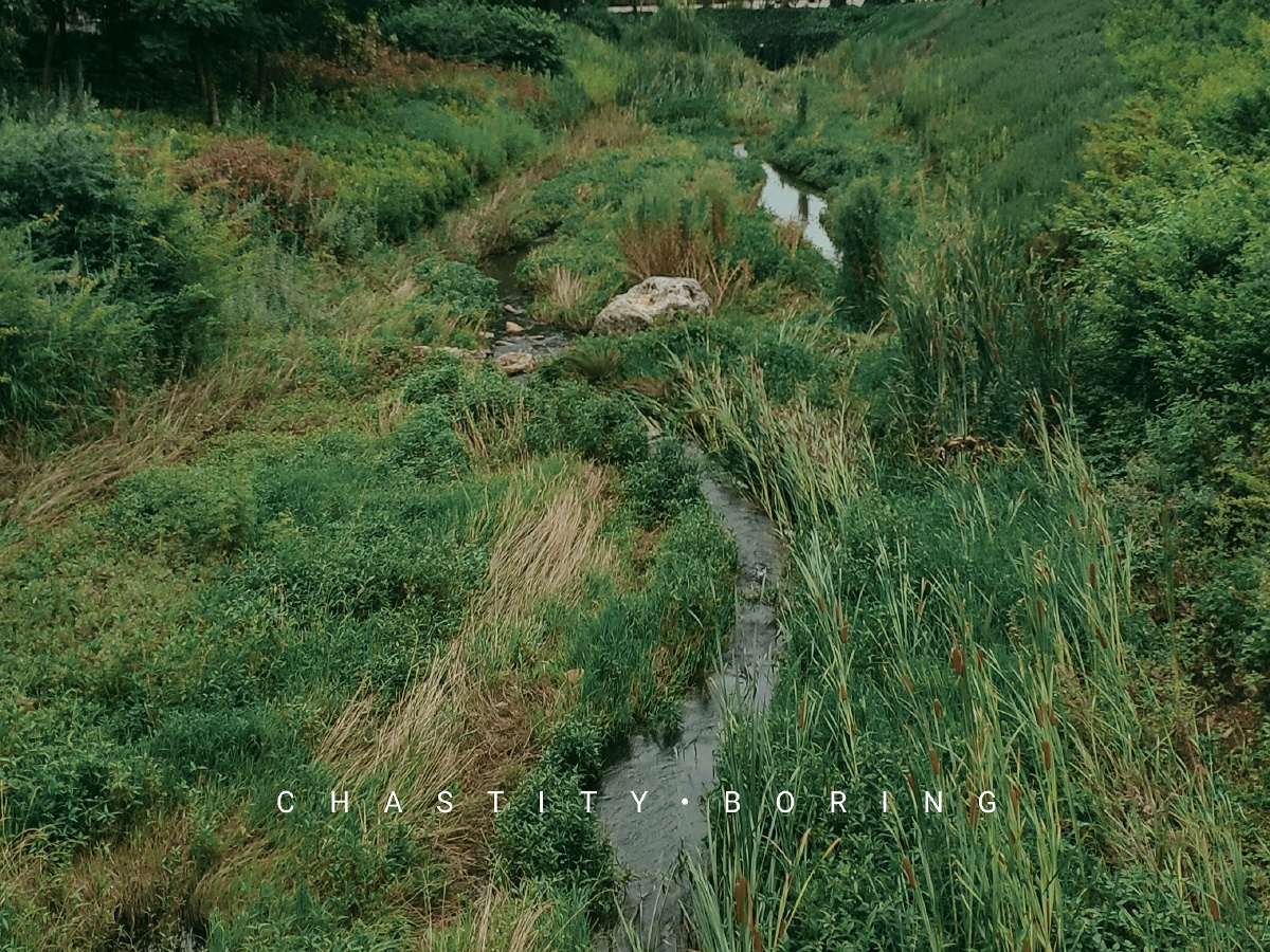 朴实无华且枯燥的一组照片