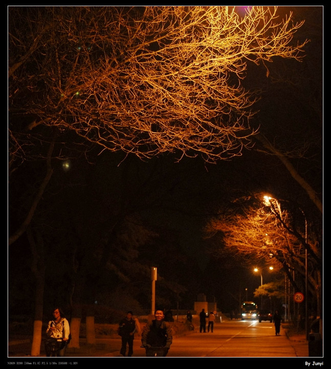 北大图书馆前的路<br />
