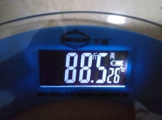 261088