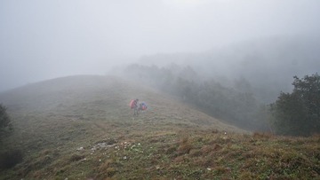 DSC02313.jpg