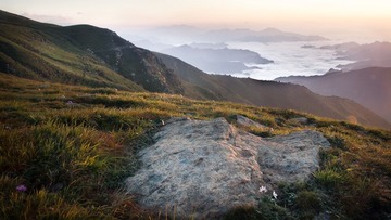 DSC02422.jpg