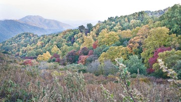 DSC02817.jpg