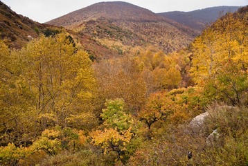 DSC03177.jpg