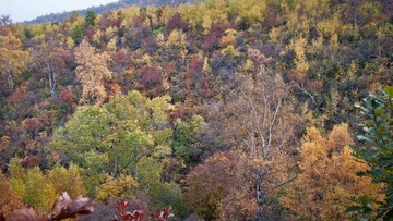 DSC03353.jpg