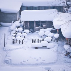 DSC05141.jpg