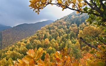 DSC06867.jpg