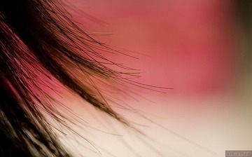 _MG_1215
