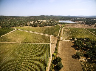 DJI_0052