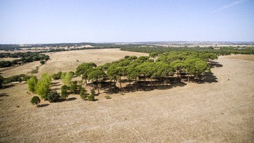 DJI_0054-PT