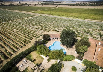 DJI_0055-PT