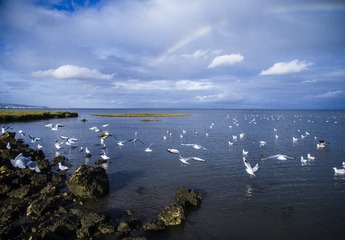 DJI_0057