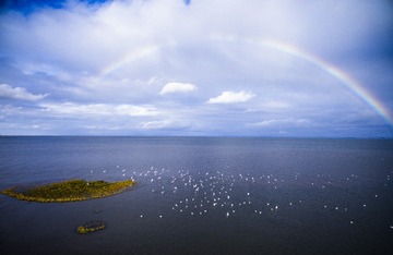 DJI_0063