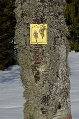 08032802