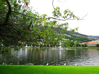 Bergen