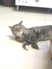 2353579