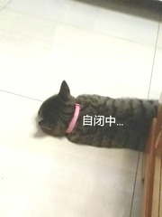 2353576