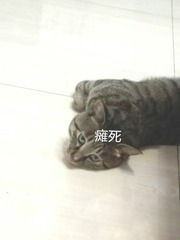 2353575