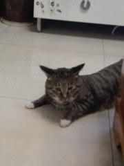 2353569