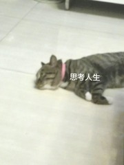 2353580