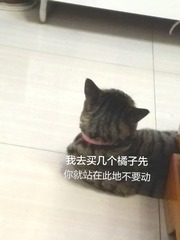 2353582
