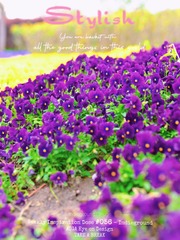 208D9A15-0DC5-4D35-803E-8B256C491F38/L0/001