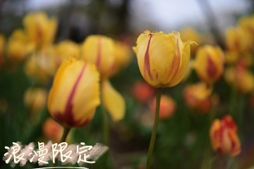 00AA0CB8-A577-4A36-A34E-DC228A8BF76F/L0/001