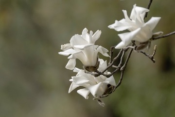 0E0E689B-C0E4-409D-AF8E-E418083D38AE/L0/001