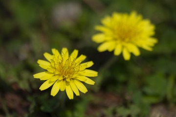 857F23B1-A82F-4677-9350-E3C156402D64/L0/001