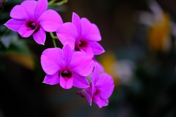 B1CA38E2-6315-46D3-A8D5-0E91BCADC02A/L0/001