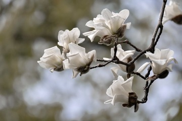 067EB66A-B3EE-4FD1-90A5-77EF95BF673C/L0/001