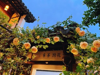 7D79C385-CA76-466B-AE77-1C7B25CC9863/L0/001