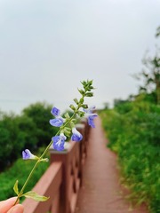 1F4F5A00-AAB6-4CB4-9FB5-35051C315852/L0/001