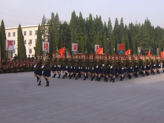 384463