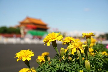 天安门1
