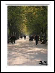 天坛一景