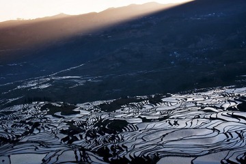 _MG_4147.jpg
