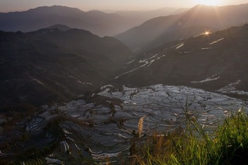 _MG_4498_1.jpg