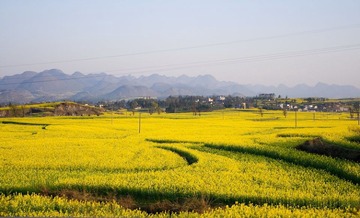 _MG_4570.jpg