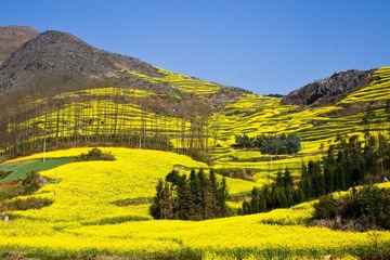 _MG_5692.jpg
