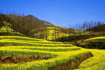 _MG_5695.jpg