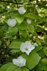 DSC_0083副本.jpg