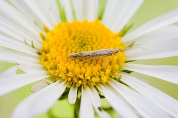 IMG_0180_resize