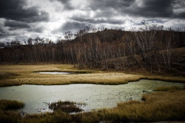 _MG_7628_0_resize