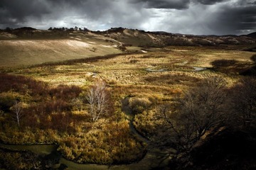 _MG_7669_1_resize