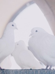 001
