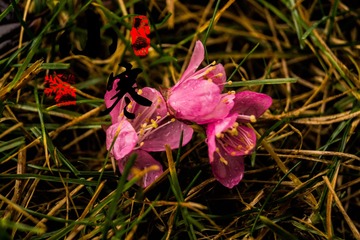 001