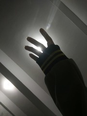 491