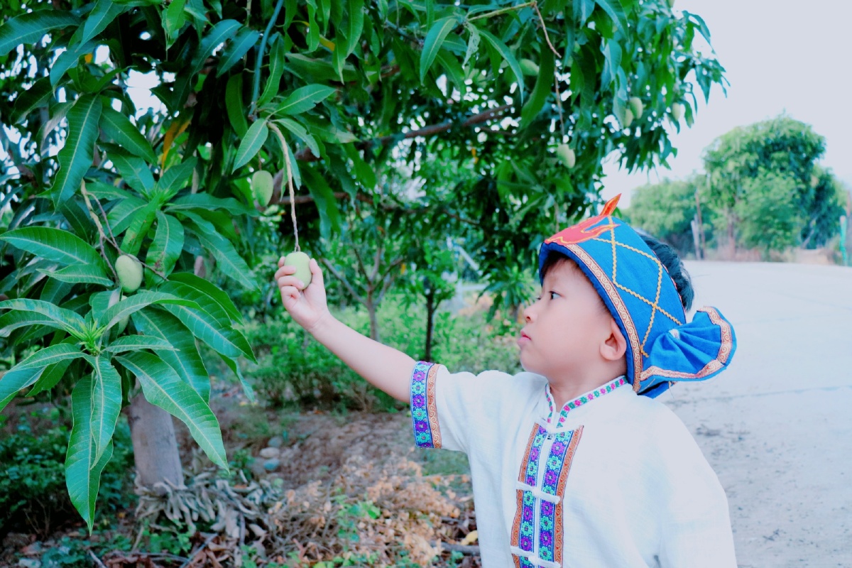 傣家小卜冒小卜少