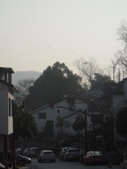 F4664D24-07B6-424F-B436-B19E14DCAA88/L0/001
