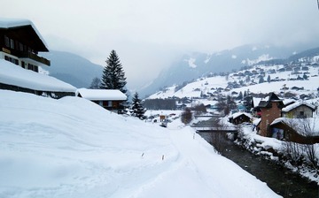 732065